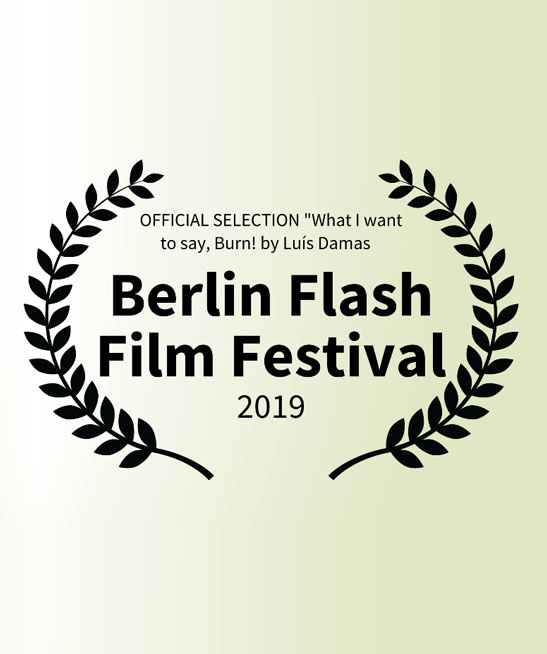 Realizador <small>- VídeoArtista</small>