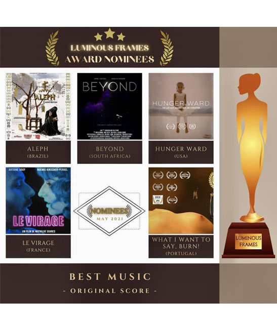 Realizador <small>- VídeoArtista</small>