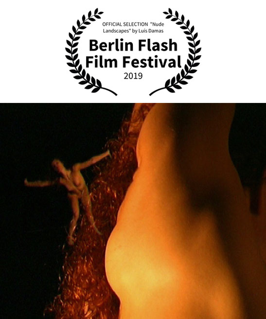 Realizador <small>- VídeoArtista</small>