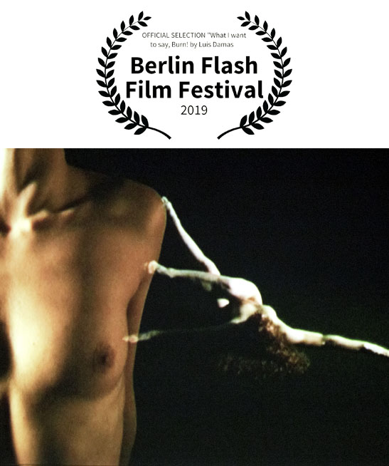 Realizador <small>- VídeoArtista</small>