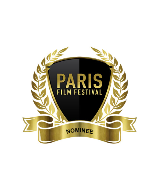 Realizador <small>- VídeoArtista</small>